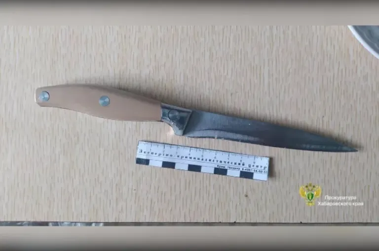 Калининградку будут судить за угрозы полицейским с кухонным ножом