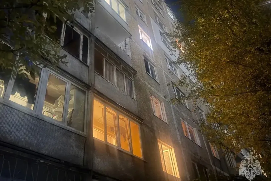 В Калининграде при пожаре погибла женщина и больше 20 кошек