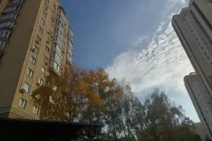 В Калининградской области 20 октября ожидается до +15 градусов